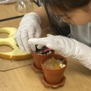 해서초교 | 대구초등학교베이킹<화분티라미수컵케이크만들기>해서초등학교 출강수업후기