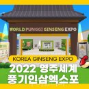 인삼월드