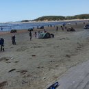 몽산포랑바다랑 이미지