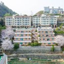 홈포레스트리조트 이미지