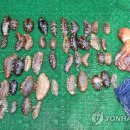 연합안전경비(주) 이미지