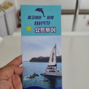 제주도 특별한 체험 돌고래와 함께 M1971 요트투어