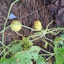 구룡서길 이미지