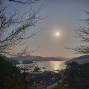 평인일주로가로수 이미지