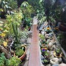 진성한우촌 이미지