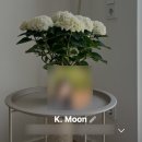 카톡 | 카톡 사주후기 K. Moon 추천 신기했던 상담 경험 공유