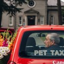 펫택시119 이미지