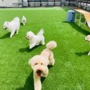 YH프라자 이미지