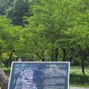 라만차의돈키호테캠핑장 이미지