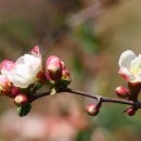 제일부동산중개 이미지