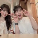 비바운스 이미지