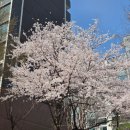 소비지 | [나이키 러닝복] 명동 롯데백화점 여름 러닝복 내돈내산 구매 후기 (사이즈 팁)