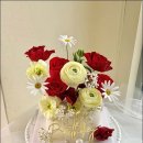 수피아플라워 이미지