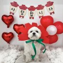 바우스쿨 이미지