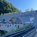 속리산휴양사업소 공중화장실 | [일주일살기] 보은에서 일주일 살아보기(1) / 강아지와 함께하는 보은여행(말티재)