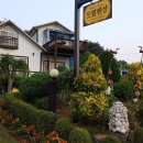 푸르고드림 이미지