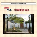 전주 한옥마을 안 독채 숙소 라라라온 근처 감성숙소 예약 후기