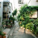 작은풍경 이미지