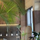 금커피별빙수 평택용이점 | 데이트카페, 사진찍기 좋은 평택카페추천 “카페몰릭” 방문후기