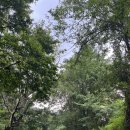산장두부촌 | 10월 황금 연휴에 뭐하지? 매주 여행가는 사람의 서울 근교 충청도 진천, 괴산, 예산, 온양, 세종 1박...