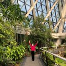 힐리브의원 | [신사 피부과] 힐리브의원, 팔자필러 후기