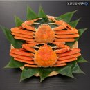 키토식품센타