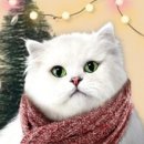 피스트푸드