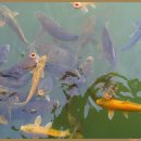 을지경로당 이미지