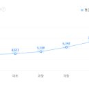 에스에이피(주)