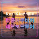 세계챔피언짐 | 코타키나발루 추천 투어,탄중아루 선셋 패들보드 체험,챔피언강사,가족여행