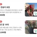 바캉스인미사 | 하남미사 일찍 여는 브런치 카페, 아이동반에 좋은 바캉스인미사 방문후기