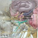 이준한의원 이미지