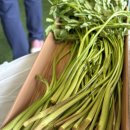 뚝심 | 김천맛집 찾는다면, 미나리향 가득한 김천 뚝심 솔직후기!