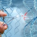 (LW-의학/건강/운동) Americans Approve of Gene Editing Only for Health Purposes 이미지