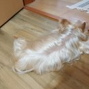 신행정사 사무소 이미지