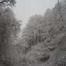 하얀나라 이미지