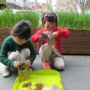 창의 과학실험(1반) 이미지