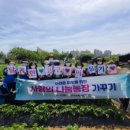 사랑의농장 이미지