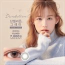 헤어단델리온 네이버블로그