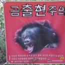 큰세계 이미지