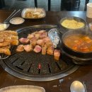 우잡go돈잡go 이미지