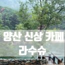 평정리 저수지 화장실 2 | [양산 신상 대형카페] 애견동반 가능한 저수지 뷰 맛집 ‘라수슈’ 내돈내산 솔직후기