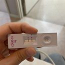 어울림이비인후과의원 이미지