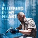 블루버드 모텔 이미지