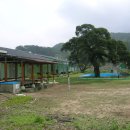 용두초등학교 이미지