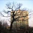 중앙동 온온사 옆 이미지