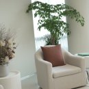 엘성형외과의원 이미지