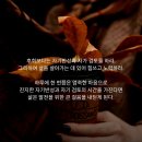 와인공간 이미지