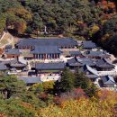 우리투어네트웍스주