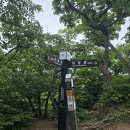 나곡초교입구 삼거리(상가쪽) | 한계령~한계령삼거리~끝청봉~중청삼거리~대청봉~설악...지원센터~오색약수터입구16.7K) 블랙야크100명산...